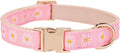 Woven Dog Collar with Metal Buckle Adjustable Jacquard Retro Dog Collars by YUDOTE