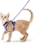 rabbitgoo Cat Harness and Leash by rabbitgoo