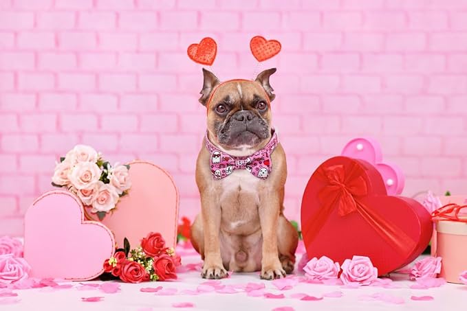 Valentine’s Day Dog Collar Adjustable Puppy Collar - Image 7