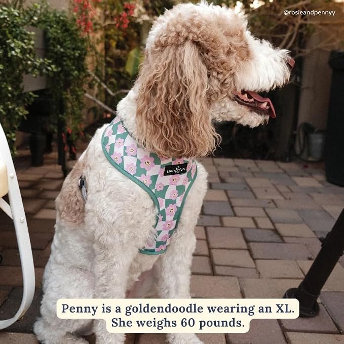 Lucy & Co. Cute Reversible Dog Harness Walking Halter - Image 4