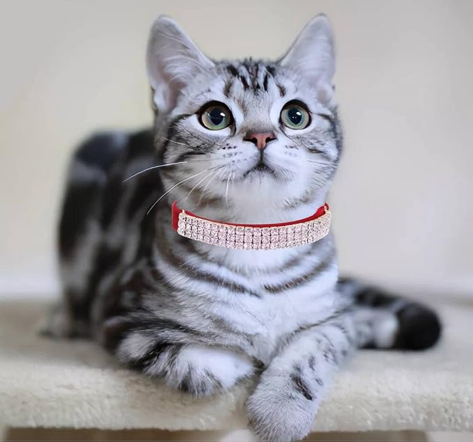 THAIN Rhinestones Cat Dog Collar Soft Velvet Safe Adjustable Collar Bling - Image 5