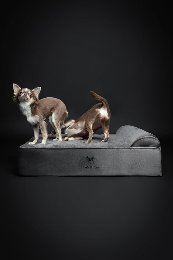 NOAH & PAW Dog Bed, Orthopedic Dog Beds - Image 6