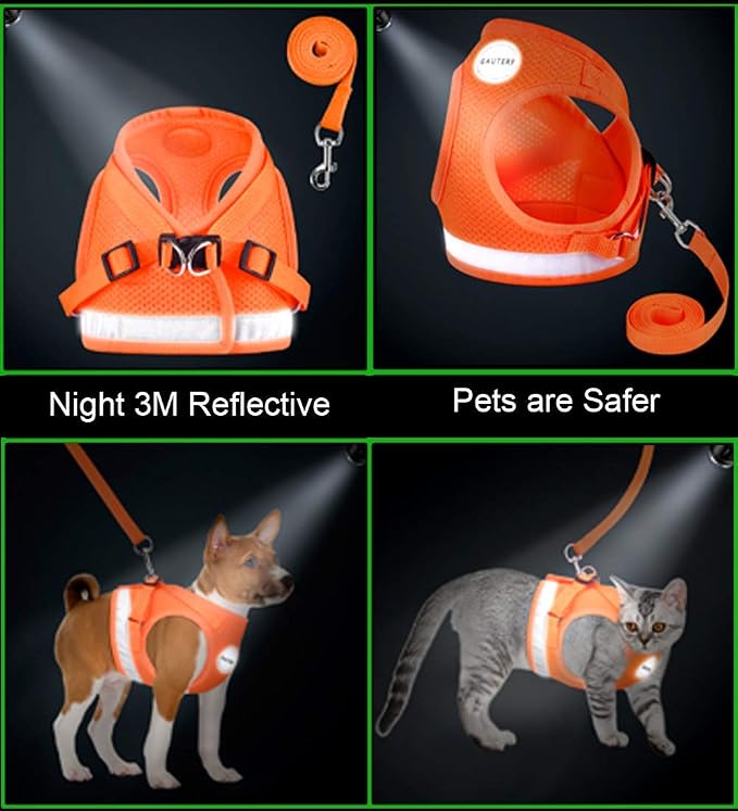 Cat Harnesses and Puppy Harness - Image 5