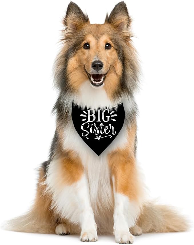 Big Sister Bandana for Dogs, Pet Pregnancy Announcement, Dog Bandanas for Large - Image 4