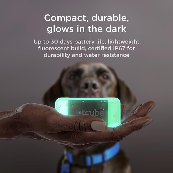 Petcube GPS Tracker for Dogs | Pet GPS Location Tracker - Image 5