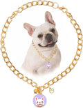 HOWWFALY Dog Collar and Cat Chain Necklace Stainless Steel Adjustable 18K Gold by HOWWFALY