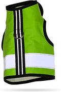 Kitty Holster Reflective Cat Harness – High-Visibility Cat Harness by KittyHolster