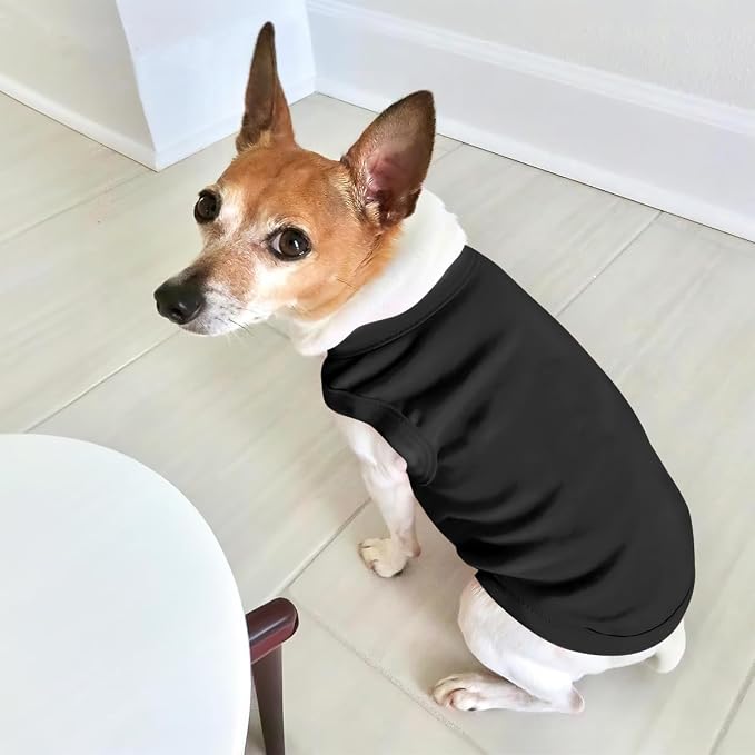 Custom Dog Shirt Pet T Shirts for Small Medium Large Dogs Customized Clothes - Image 5