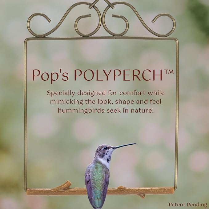 The Original Hummingbird Swing for Outdoors - Image 3