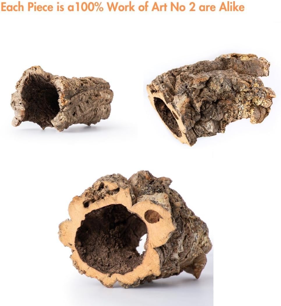 Galápagos 05505 Natural Cork Bark, Tube 7”–9” - GlobalHabitat Supply