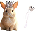 1PCS Crown Tiara Headband for Cat Dogs Puppy Birds Ducks Chicken Rabbit Hamster by Unknown