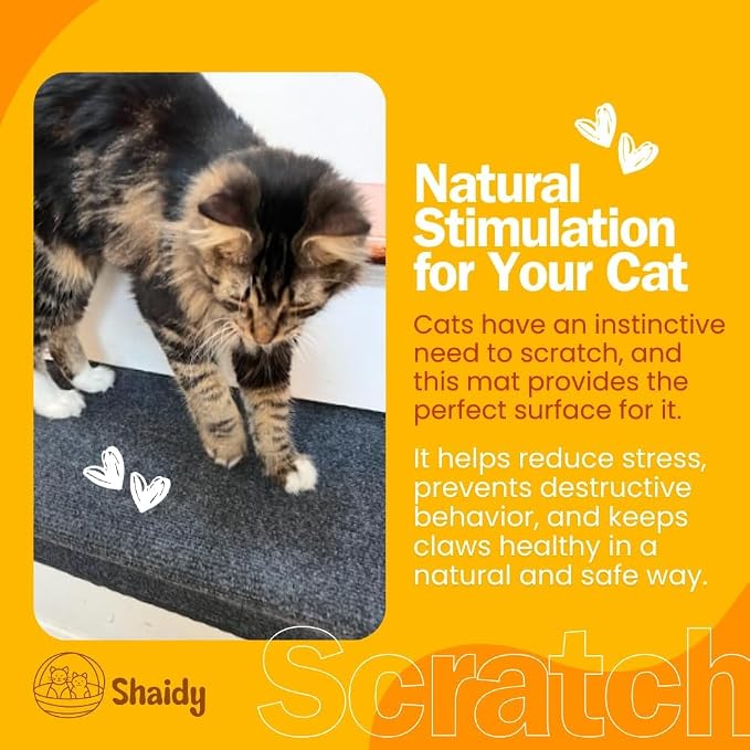 Shaidy Cat Scratching Mat 24x15 Inches - Image 5