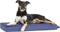Barkbox Orthopedic Dog Bed by BARK