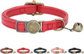 THAIN Leather Cat Collar with Bell Breakaway- Adjustable, Retro Bell fit Most by THAIN