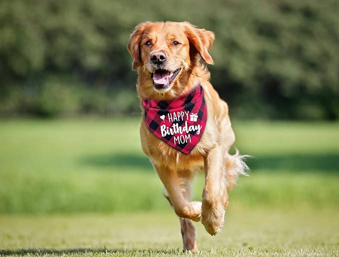 Ptzizi Funny Red Plaid Happy Birthday Mom Dog Printed Triangle Bandana - Image 3