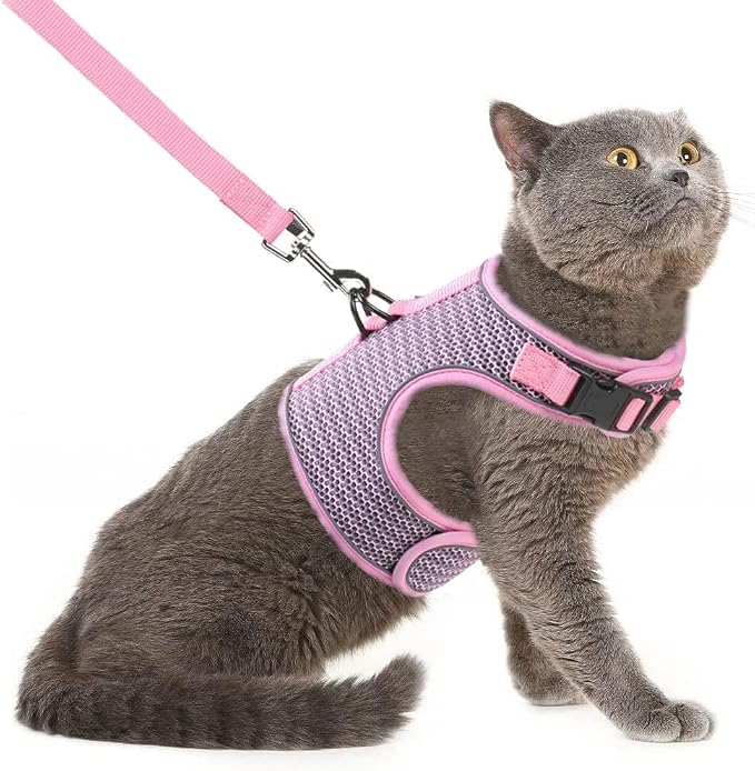 PUPTECK Soft Mesh Cat Vest Harness and Leash Set Puppy Padded Pet Harnesses by PUPTECK