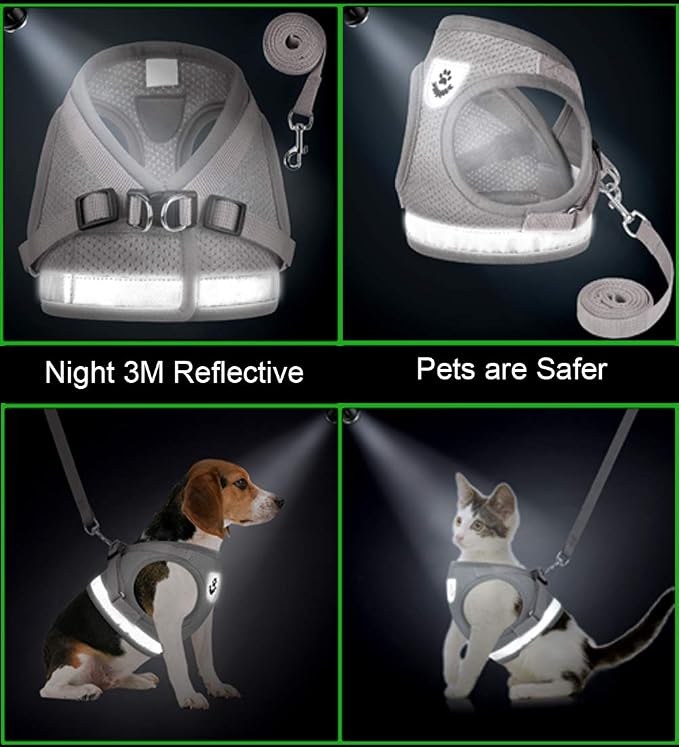 Cat Harnesses and Puppy Harness - Image 5