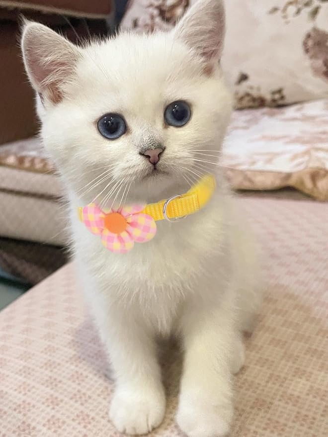 16 PCS Cute Cat Collars Breakaway - Image 3
