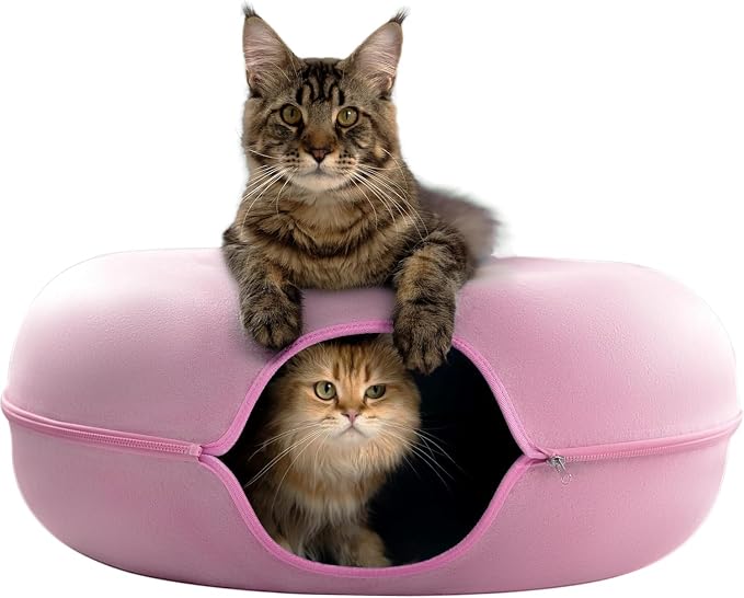 Cattasaurus Peekaboo Cat Cave Donut by Cattasaurus