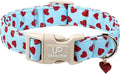 Valentine's Dog Collar, UP URARA PUP Pink Heart Adjustable Pet Collar by UPURARAPUP