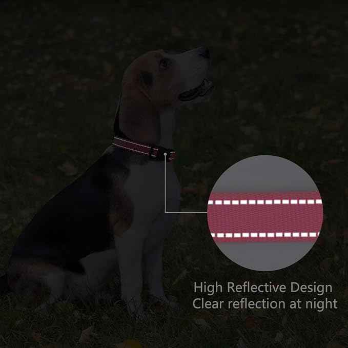 Reflective Dog Collar Padded