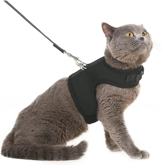PUPTECK Soft Mesh Cat Vest Harness and Leash Set Puppy Padded Pet Harnesses by PUPTECK