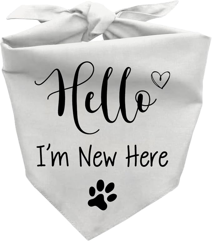 Hello I'm New Here Dog Bandana, New Puppy Reveal Party Photo Prop, Cute New by Joyriza