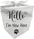 Hello I'm New Here Dog Bandana, New Puppy Reveal Party Photo Prop, Cute New by Joyriza