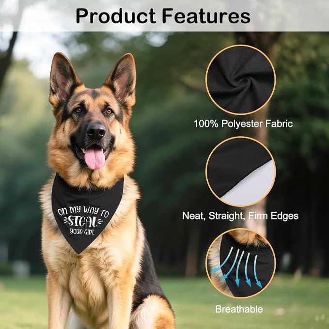 On My Way to Steal Your Girl Black Dog Bandana, Funny Pet Scarf Accessories - Image 3