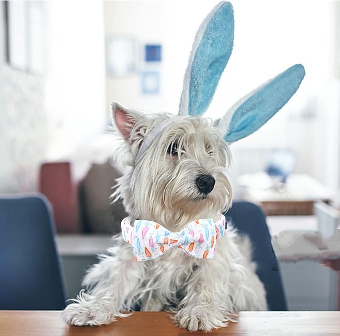 Lionheart glory Easter Dog Collar - Image 5