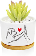 Window Garden Dog Planter Pots, Dog Gifts by Databa