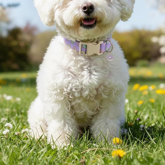 Girl Dog Collar with Unique Purple and Donut Print, Cute Dog Collar - Image 4