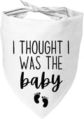 Dog Pregnancy Announcement Bandana by Mixrowa