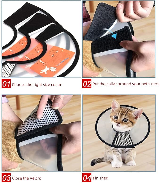 Plastic Pet Recovery Collars & Cones - Image 4