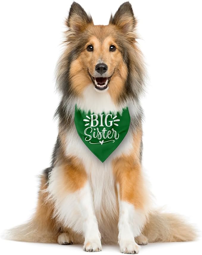 Big Sister Dog Bandana, 25 x 17 Inches, Comfortable, Water Resistant, Geometric - Image 3