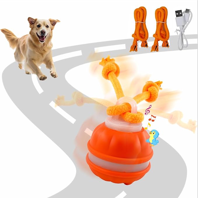 Interactive Dog Toys，Peppy Pet Ball by Unknown