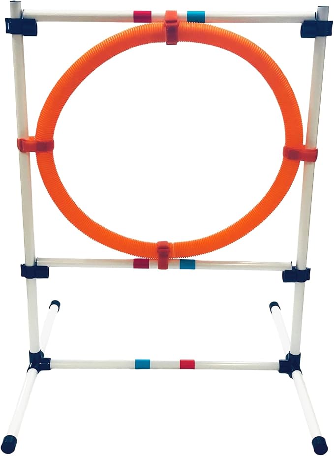 Midlee Dog Agility Hoop Jump by MidleeDesigns