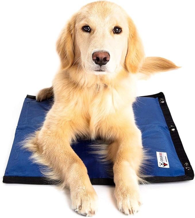 CoolerDog Hydro Cooling Mat for Dogs – Dog Cooling Mat & Cooling Pad for Hot by CoolerDog
