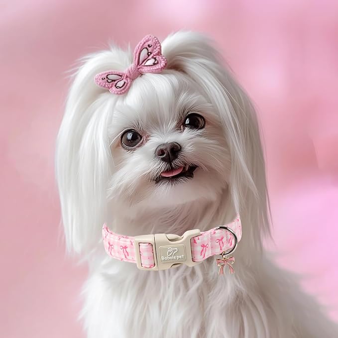 Girl Dog Collar for Giant Large Dogs - Image 2