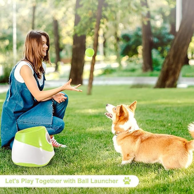 Automatic Dog Ball Launcher, Dog Ball Thrower Machine - Image 6
