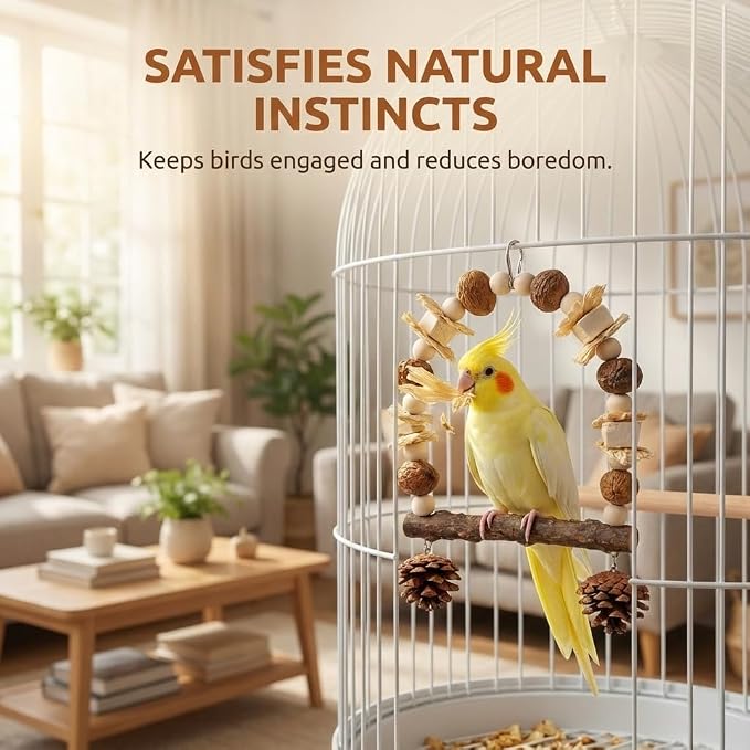 Bird Swing Toy with Cuttlebone & Corn Husks - Image 5