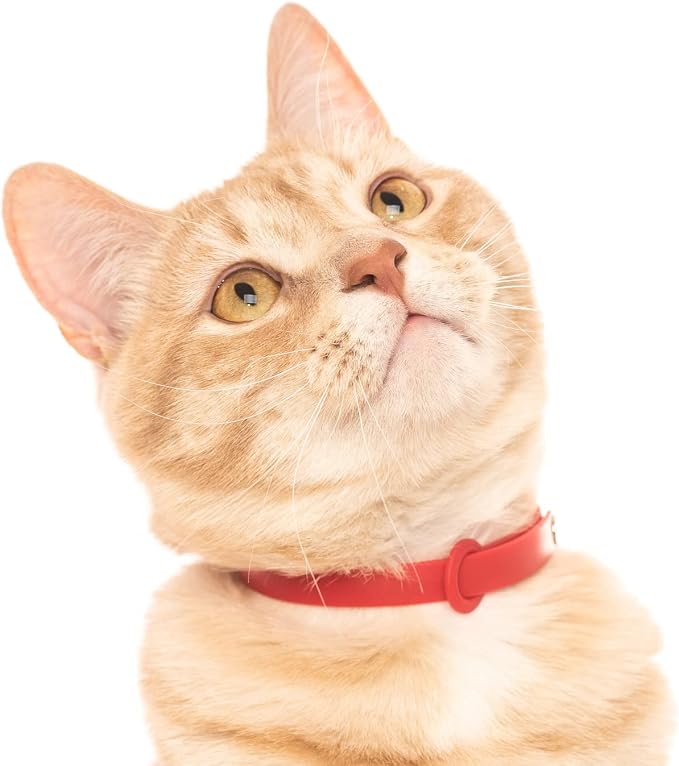 5 Pack Breakaway Cat Collar - Image 5
