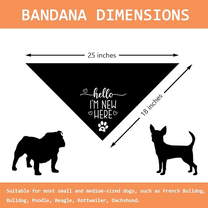 Hello I'm New Here Dog Bandana New Puppy Announcement Gift - Image 2