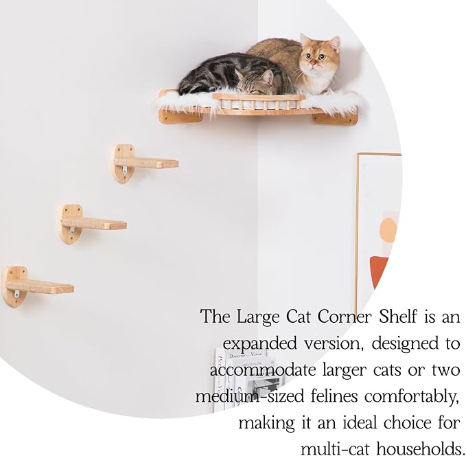 Cat Shelves - 3-Step Wall Climbing Set - Image 3