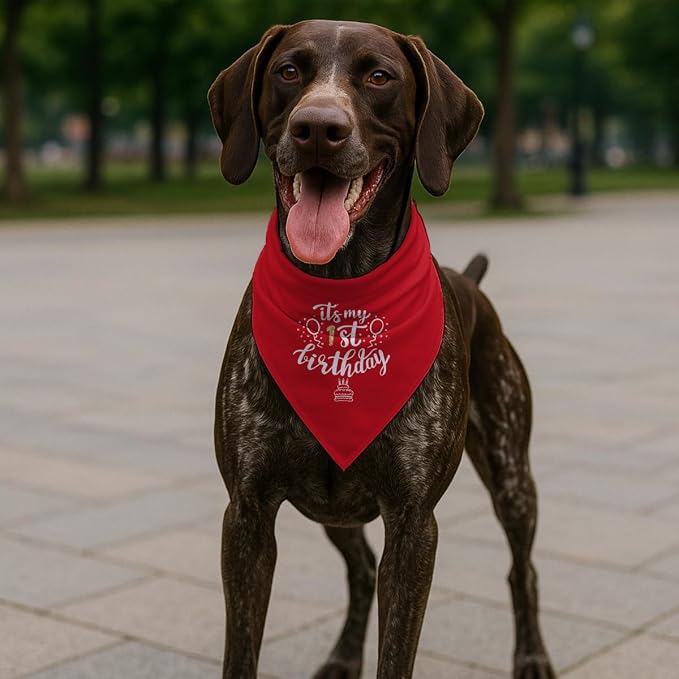 Birthday Dog Bandana, It's My 1 st Birthday Pet Costumes, Adjustable - Image 5
