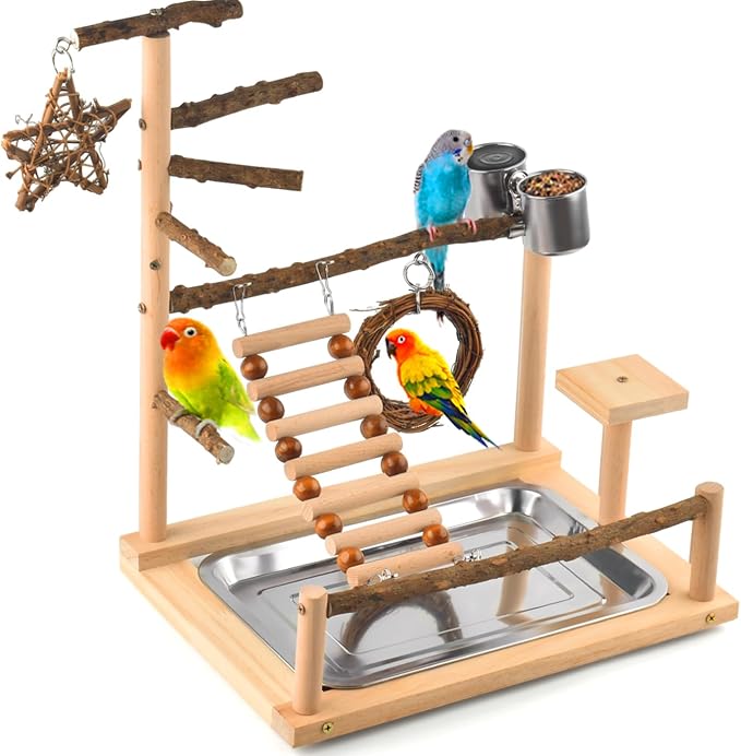 KATUMO Bird Playground by KATUMO