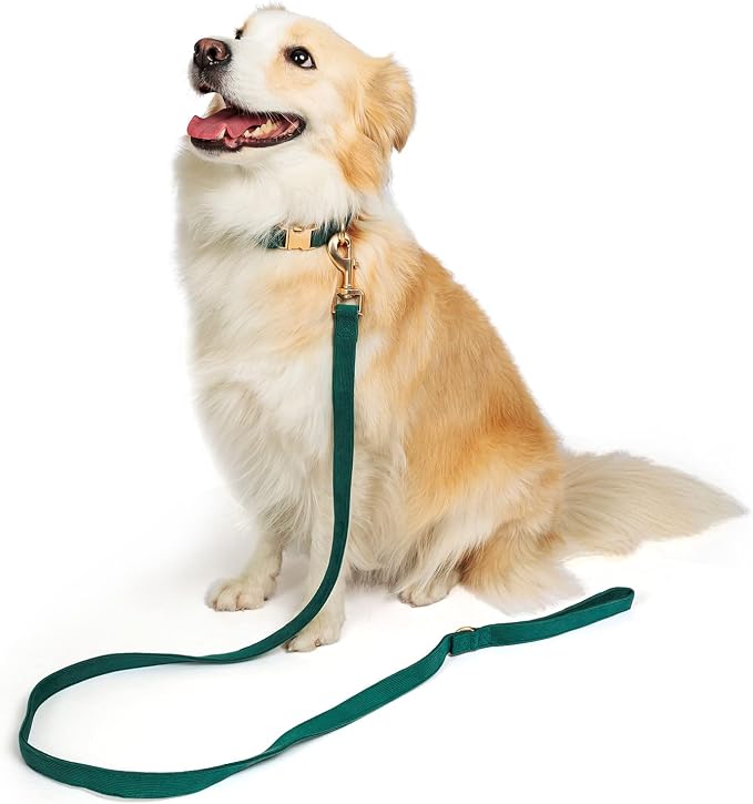 Soft Cotton Dog Collar with Metal Buckle Adjustable Heavy Duty Comfy Corduroy - Image 4