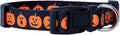 Native Pup Halloween Dog Collar- Spooky Fall Themed Horror Costume Collars- by NativePup