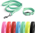 4.2FT Dog Collar and Leash Set, PVC Waterproof Adjustable Odor Proof Pet by Unknown