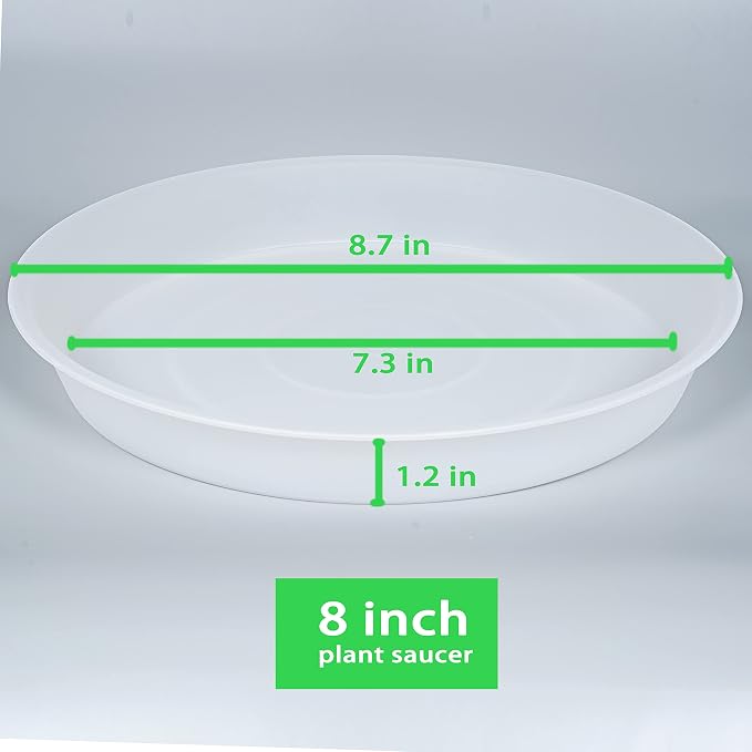 2 Pack of 8 inch Plant Saucer Clear, Heavy Duty Plastic Plant Water Tray 8 inch - Image 2